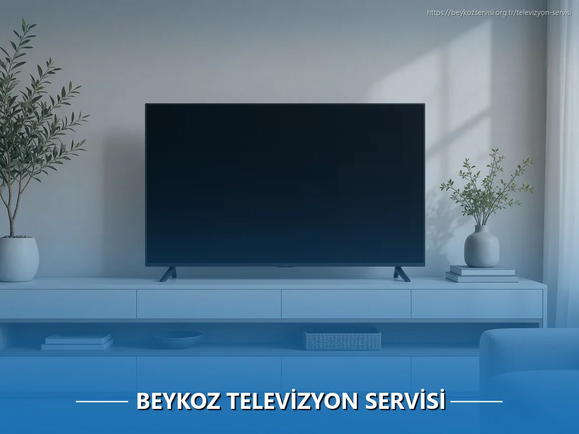 Beykoz Televizyon Servisi