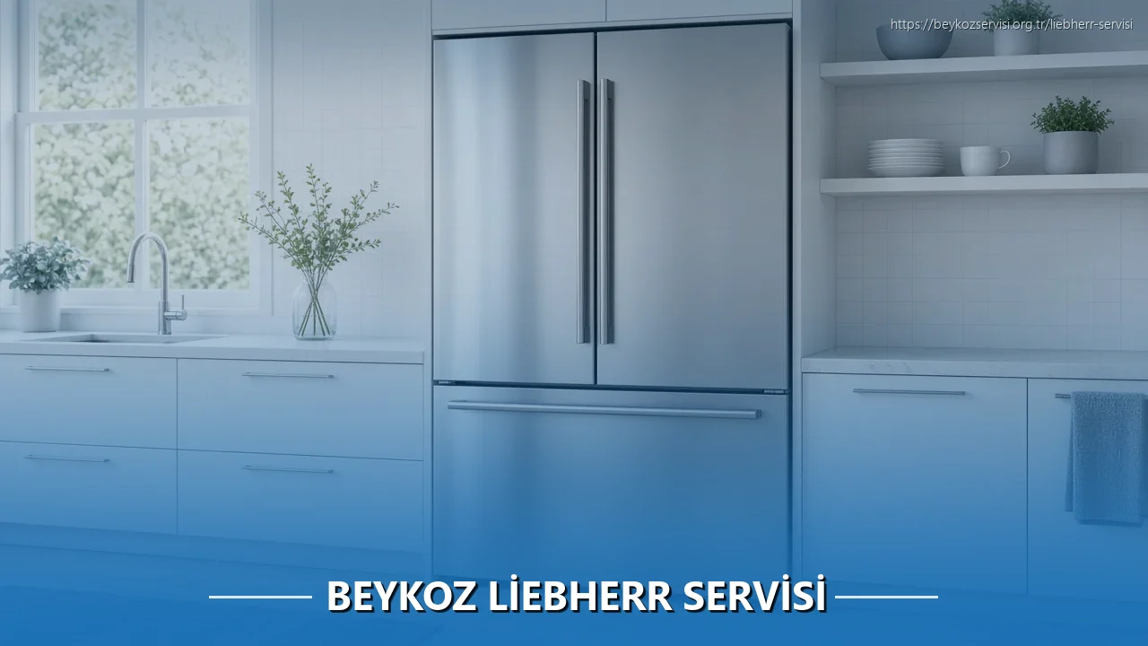 Beykoz Liebherr Servisi